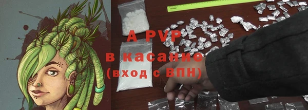 альфа пвп Гусев