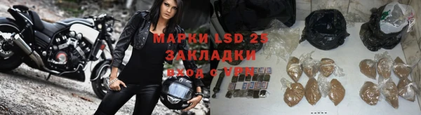 альфа пвп Гусев