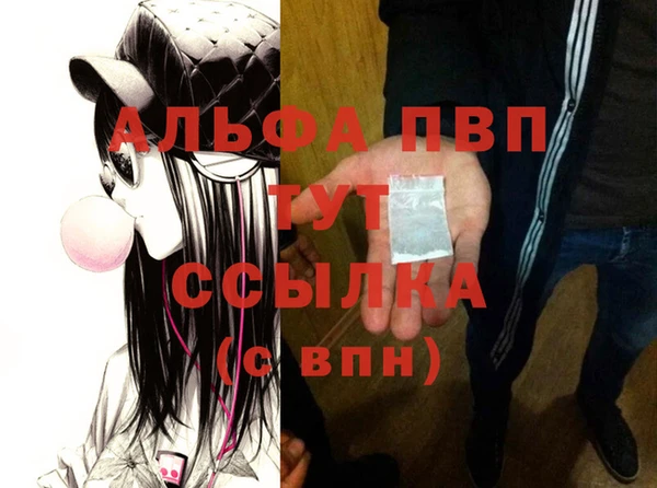 альфа пвп Гусев