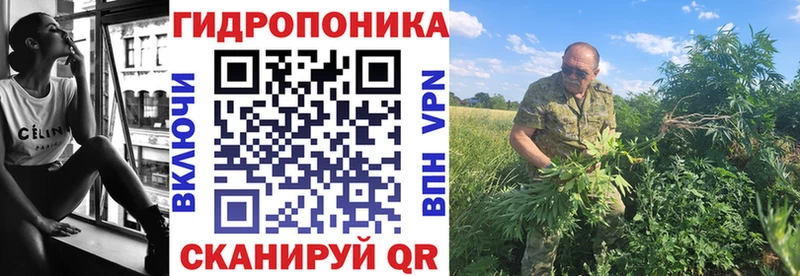 цены наркотик  Дзержинский  Канабис OG Kush 